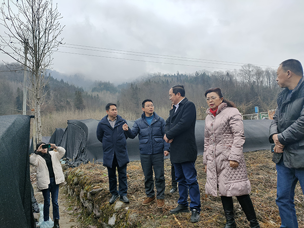 1644369697349418.jpg 44ea08bd144bd3175ee0ed210de603d.jpg